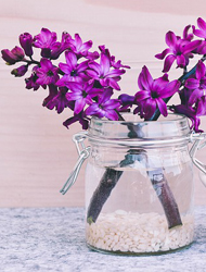 在线轰炸电话网页版