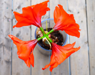 发卡网自动的在线电话轰炸软件